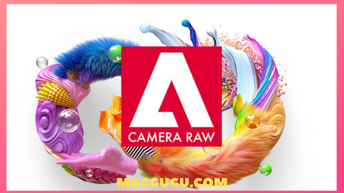 adobe camera raw 12.2
